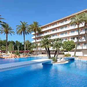 Tent Calvia Spain